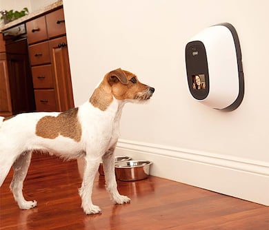 Pet Surveillance Camera - cool pet products