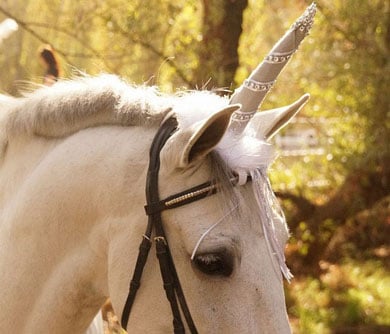 Unicorn Horse Costume