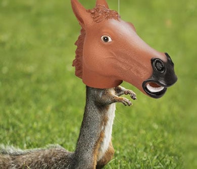 Horse Head Squirrel Feeder