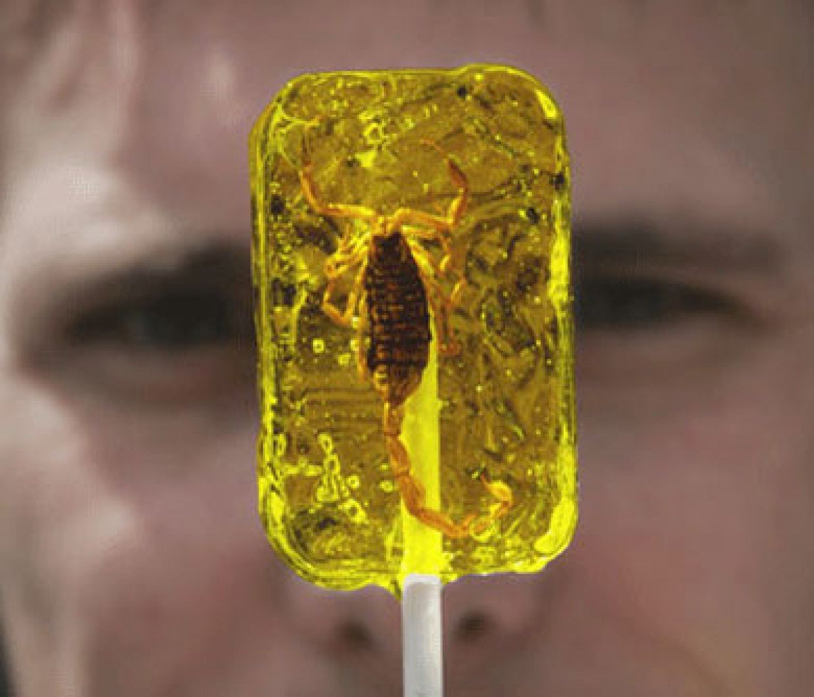 Insect Lollipops