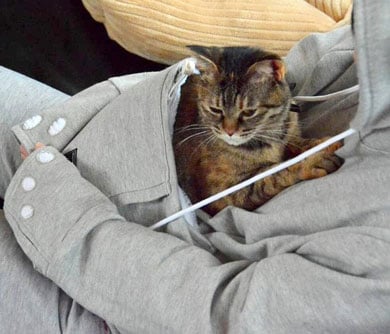 The Pet Pocket Hoodie