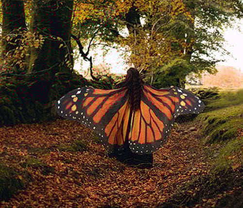 Handcrafted Butterfly Cloak