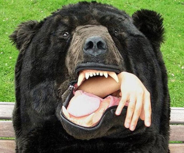 bear-sleeping-bag