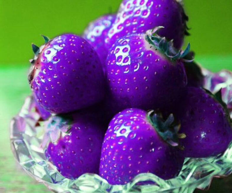 Purple Strawberries