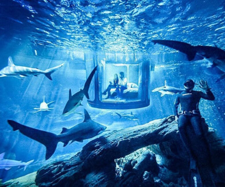 Under Water Shark Room Experience