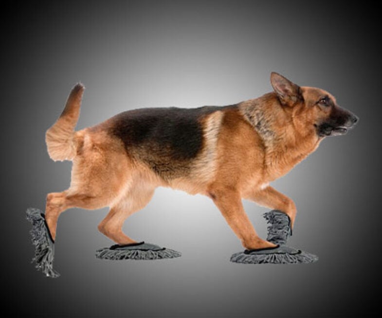 doggie-floor-dusting-slippers