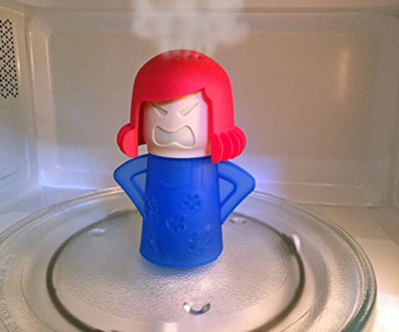microwave steam cleaner
