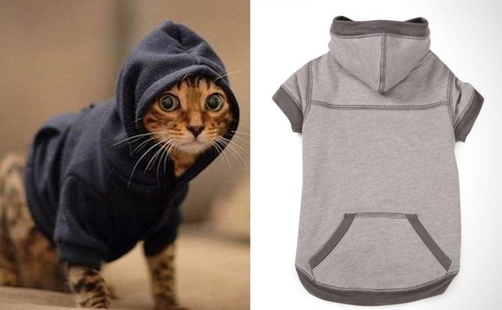 Cat Clothes 55 Best Items Of Cat Clothing For All Cats