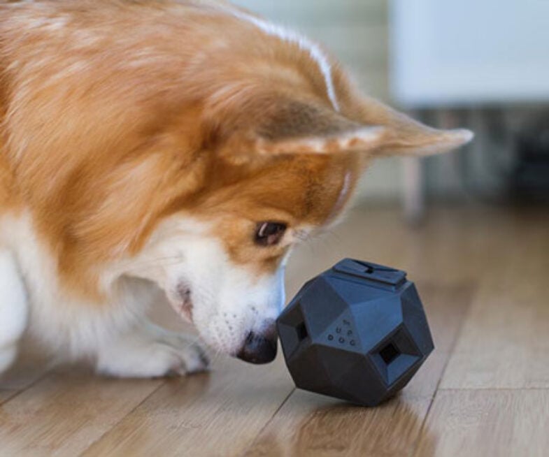 Odin Dog Puzzle Toy