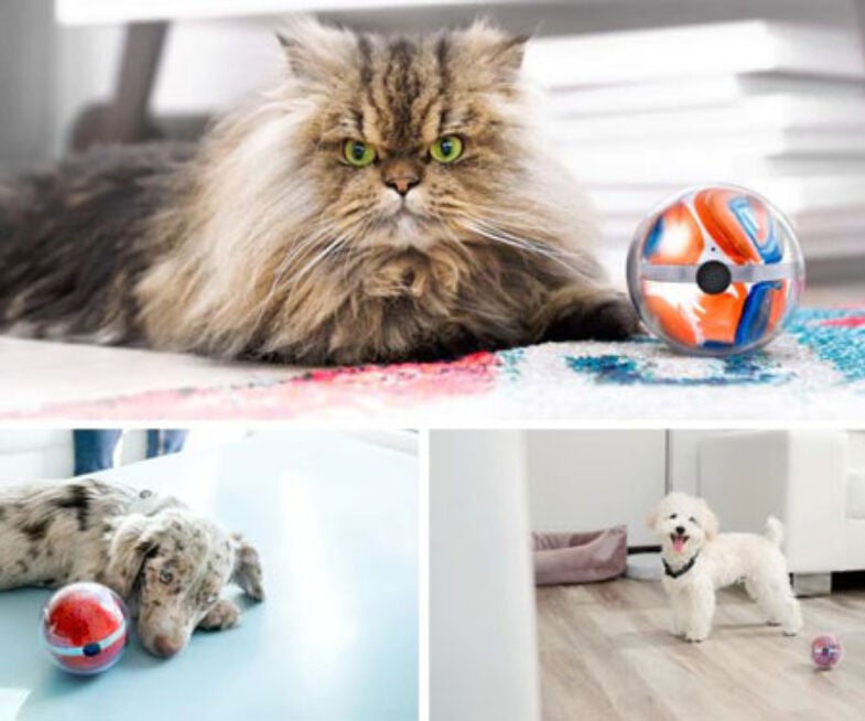 Pebby Smart Ball for Pets