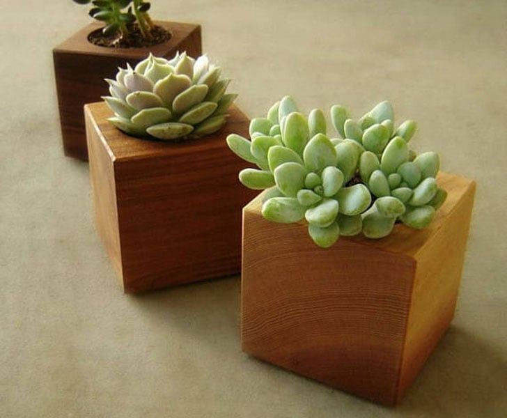 Mini Wooden Office Desk Succulent Planters