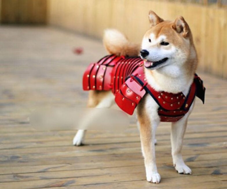 Samurai Pet Armor