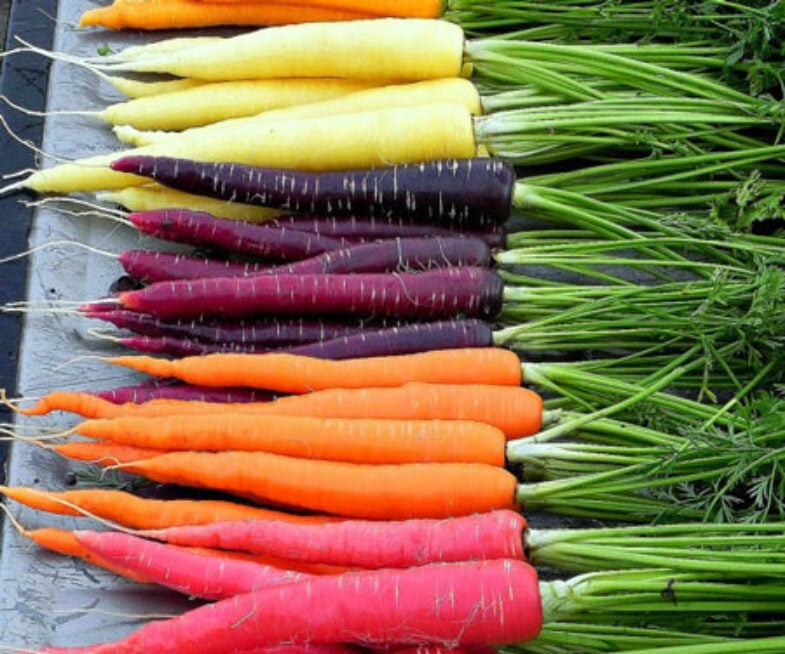 Rainbow Carrots