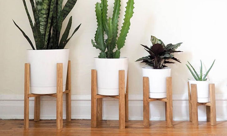 Plant Stands With Plant Lights Living Room