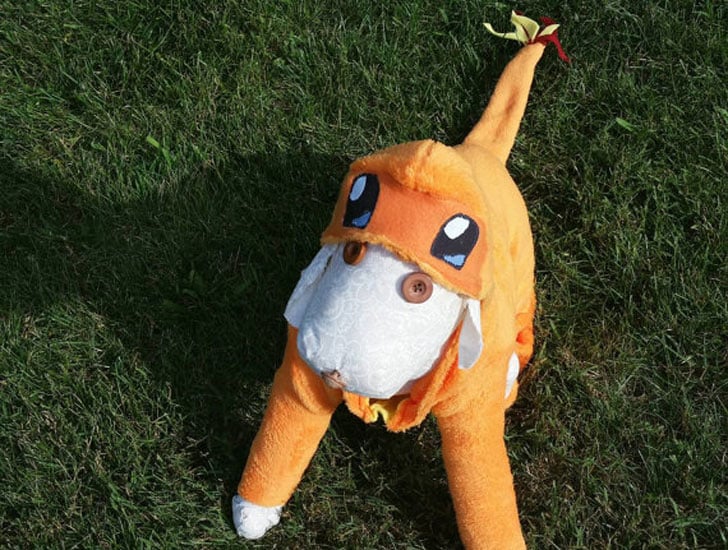 Charmander Pokemon Dog Costume - Awesome Stuff 365