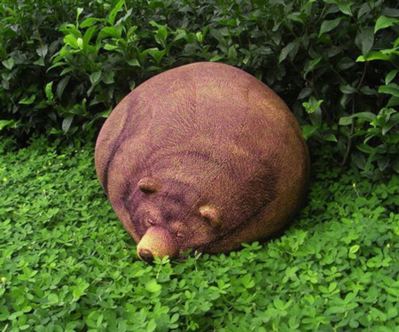 Grizzly Bear Bean Bag