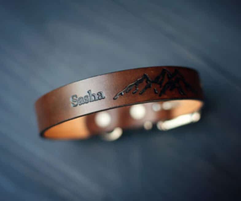 Personalized Leather Dog Collars