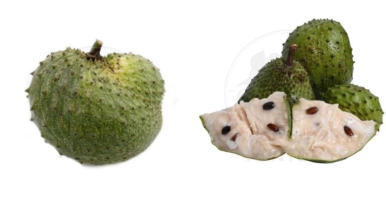 Soursop Fruit