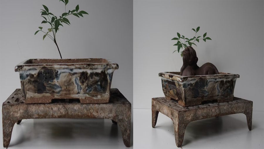 25 Unique Bonsai Pots To Scale Up Your Space Decor