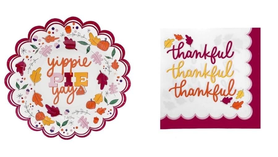 Affordable Thanksgiving Party Set