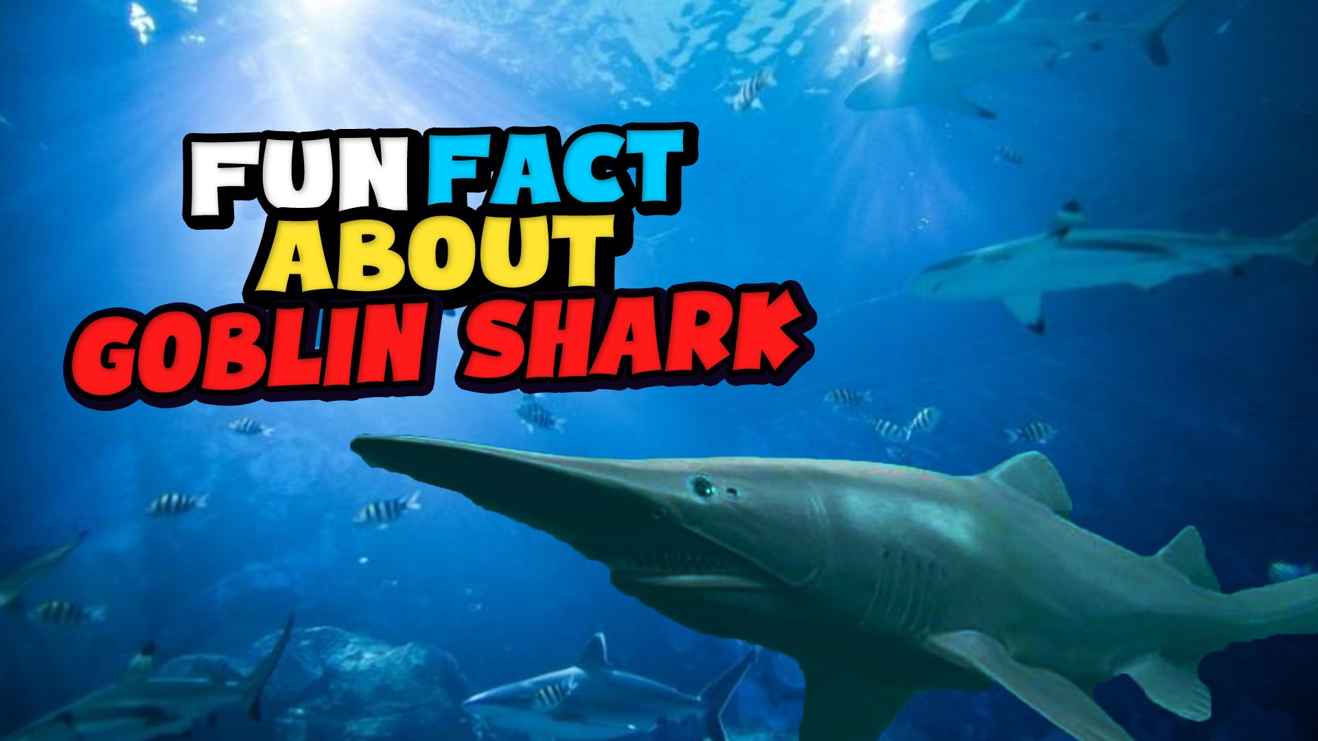 15 Amazing Facts About Goblin Sharks That Will Surprise You