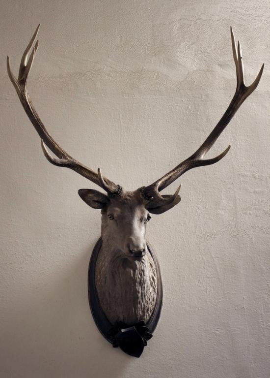 White Faux Taxidermy Hunting Trophy