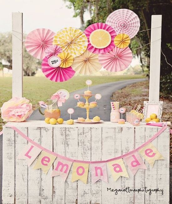 Lemonade Stand Ideas