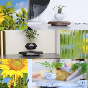 Levitating Plant