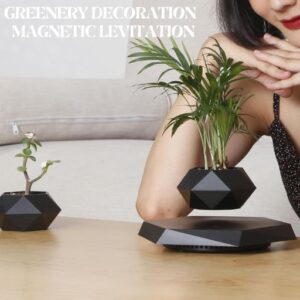 Levitating Plant