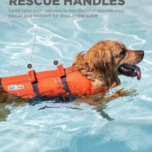 dog life jacket