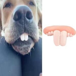 fake teeth for dogs