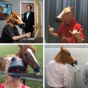 horse head mask
