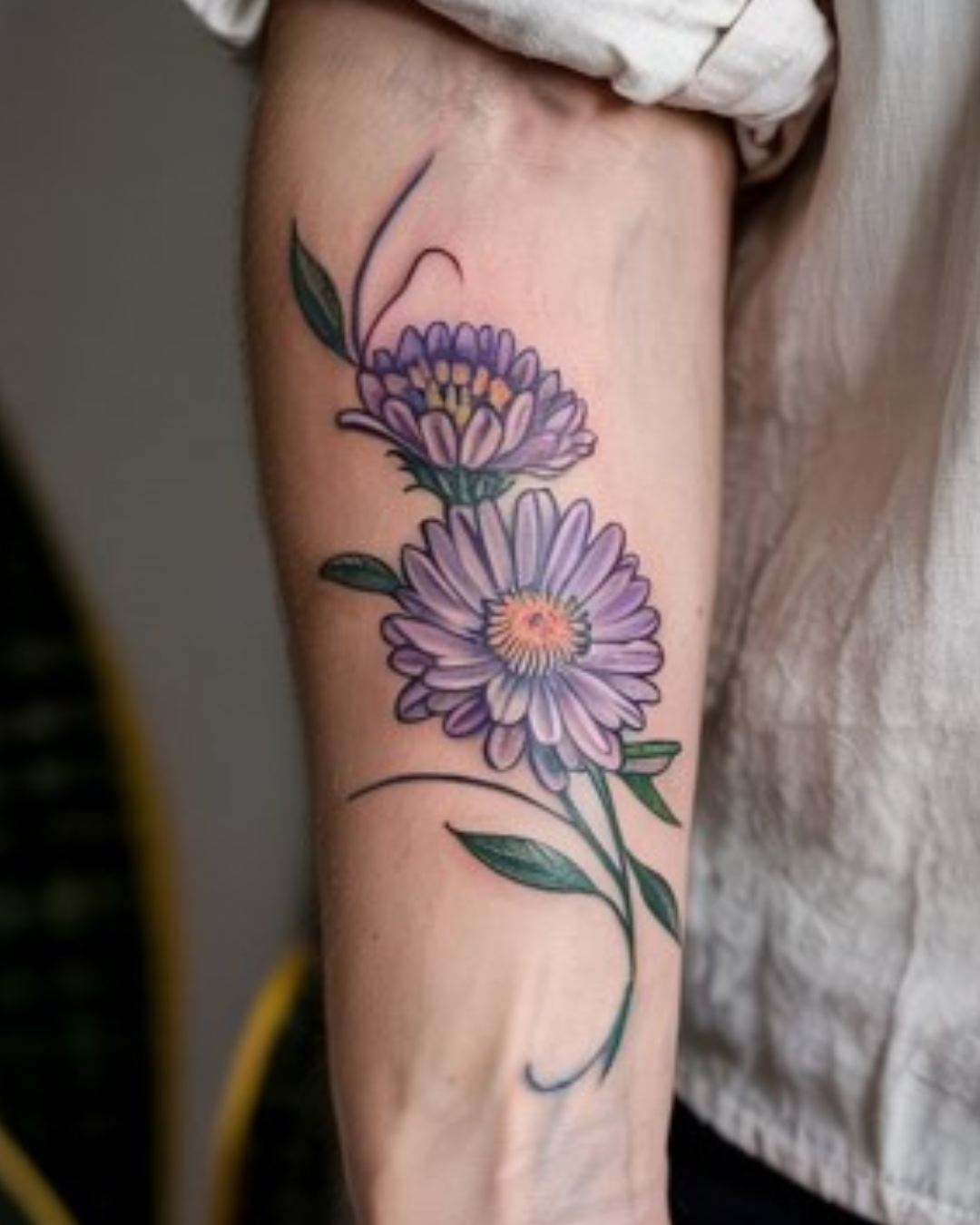 The Art and Meaning of Aster and Morning Glory Tattoos
