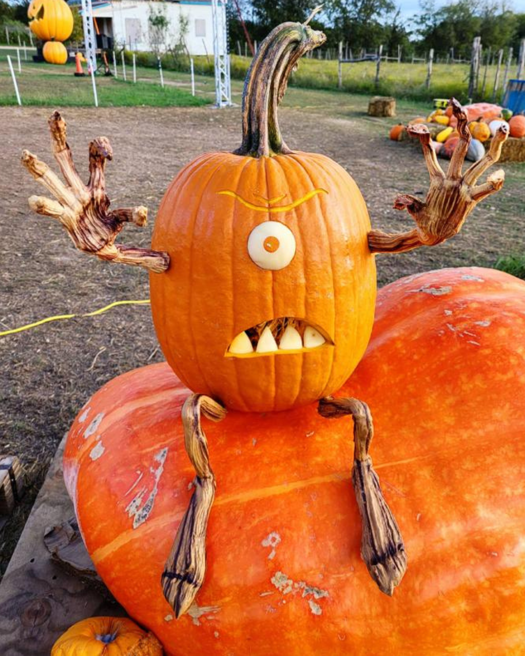 Easy & Creative Pumpkin Carving Ideas for the Perfect Halloween