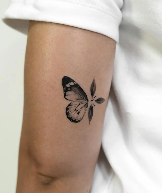 Delicate Butterfly Minimalism