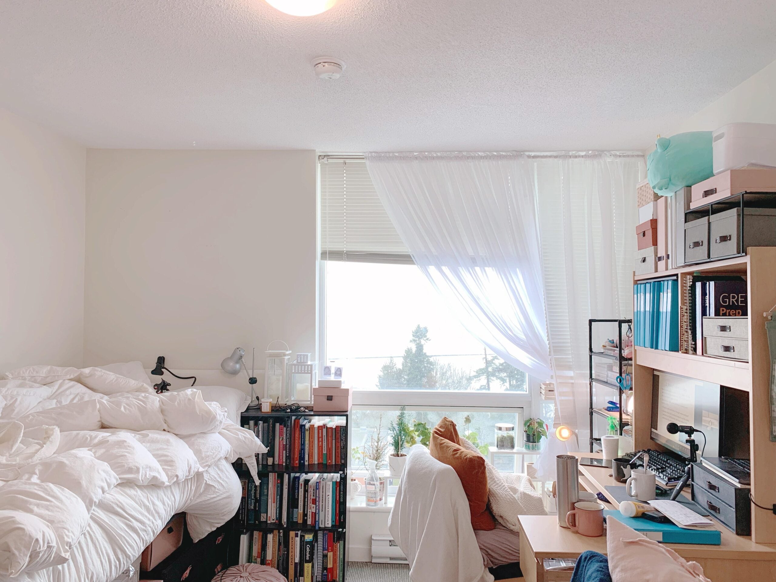 Bright and Bookish Dorm Corner