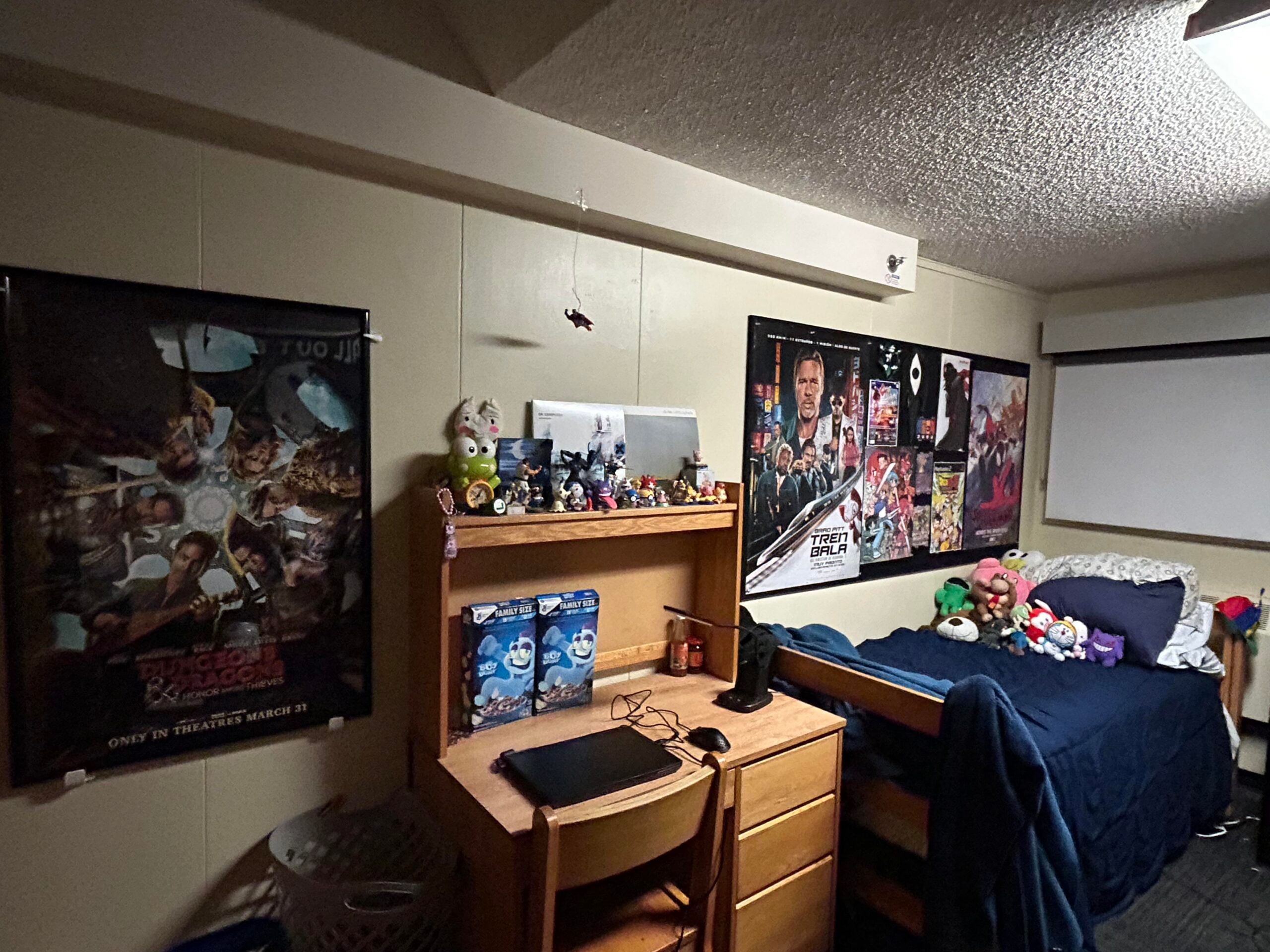 Action-Packed & Collector’s Dorm Setup