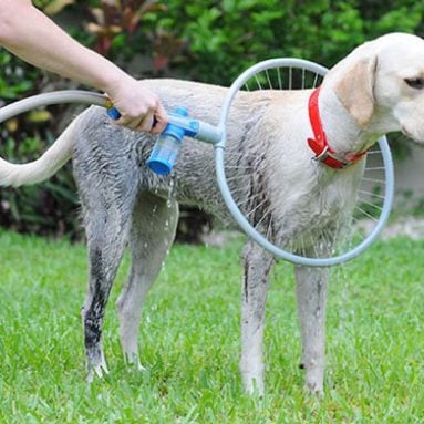 360 Degrees Dog Shower