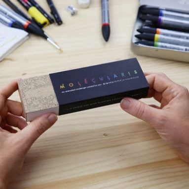 6-in-1 Optical Illusion Flip Book