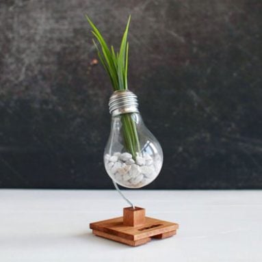 Anti-Stress BETA Bulb