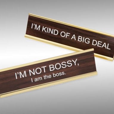 Big Personality Desk Signs