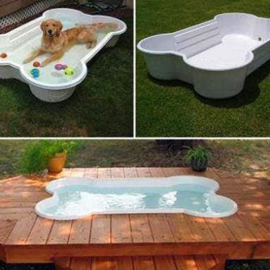 Bone Shaped Dog Pool
