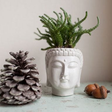 Buddha Head Planter Pots