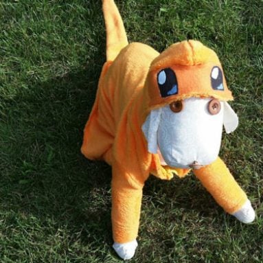 Charmander Pokemon Dog Costume