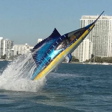 Custom-Built Sailfish Submarine