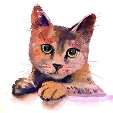Custom Cat Portraits