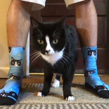 Customised Cat Socks