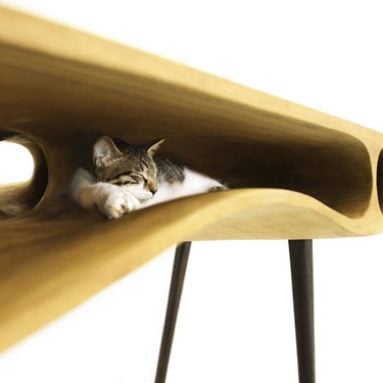 Designer Cat Table Desk