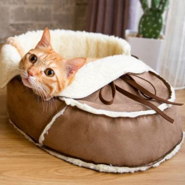 Designer Shoe Shaped Cat Bed