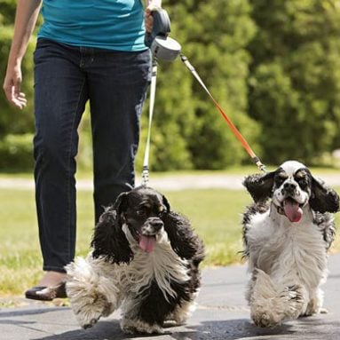 Dual-Controlled Retractable Dog Leash